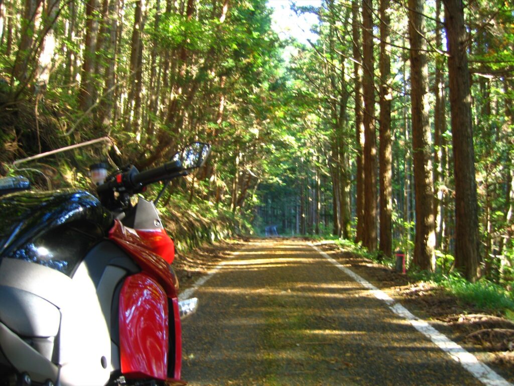 画像を等倍で表示します