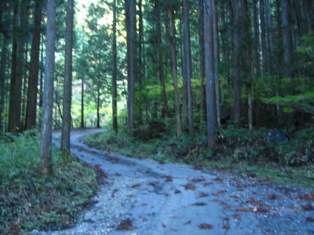 画像を等倍で表示します