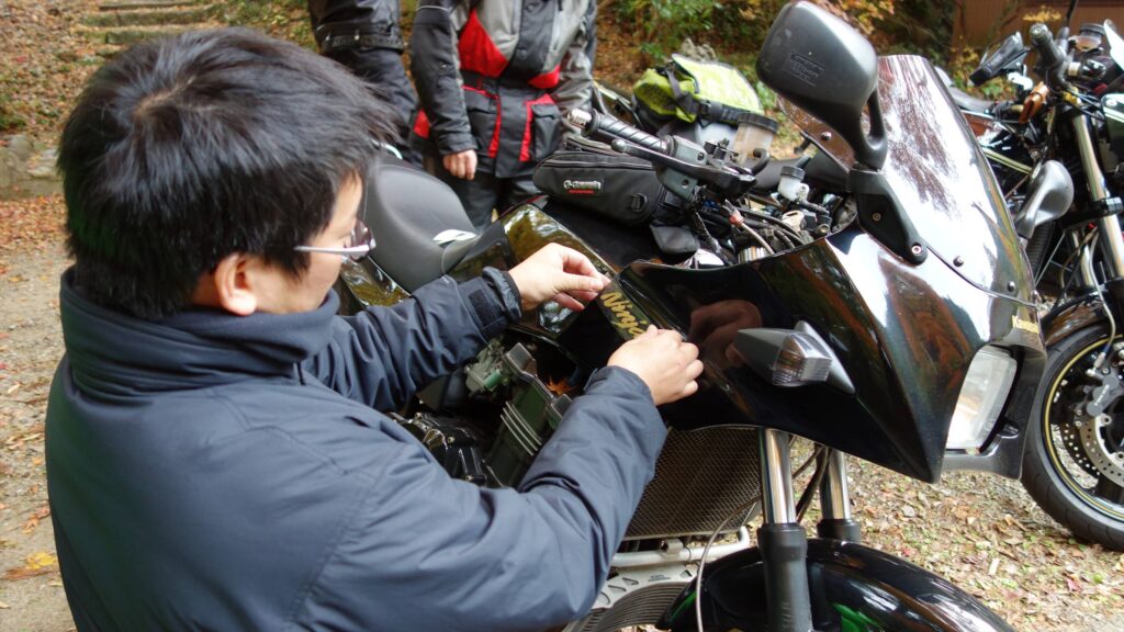 画像を等倍で表示します