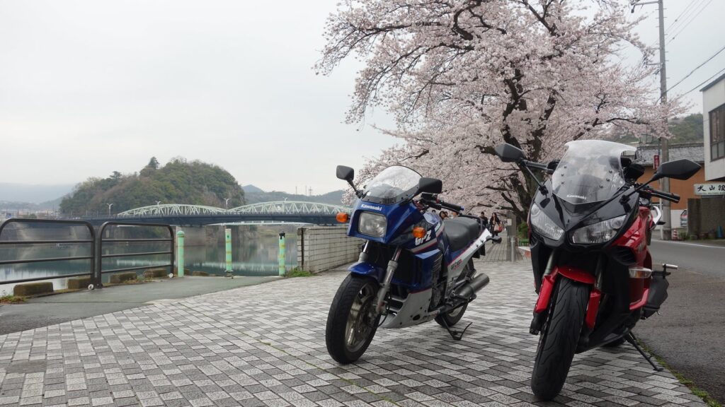 画像を等倍で表示します