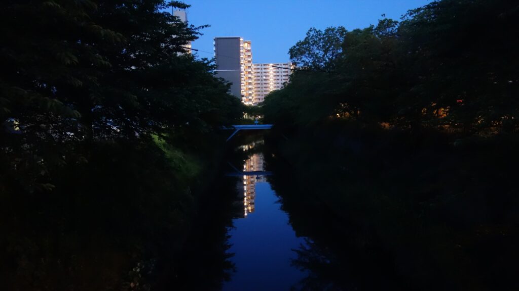 画像を等倍で表示します