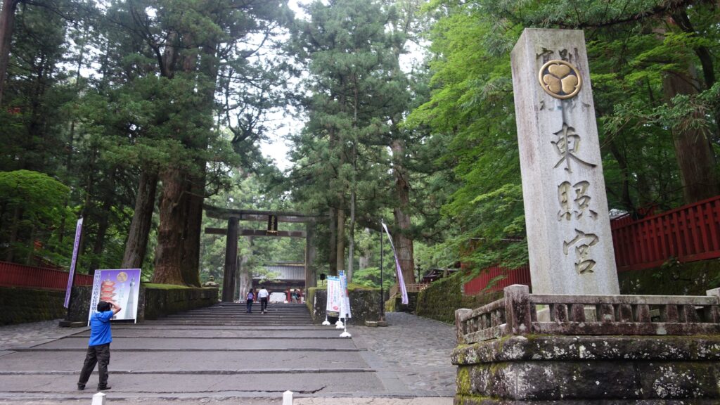 画像を等倍で表示します
