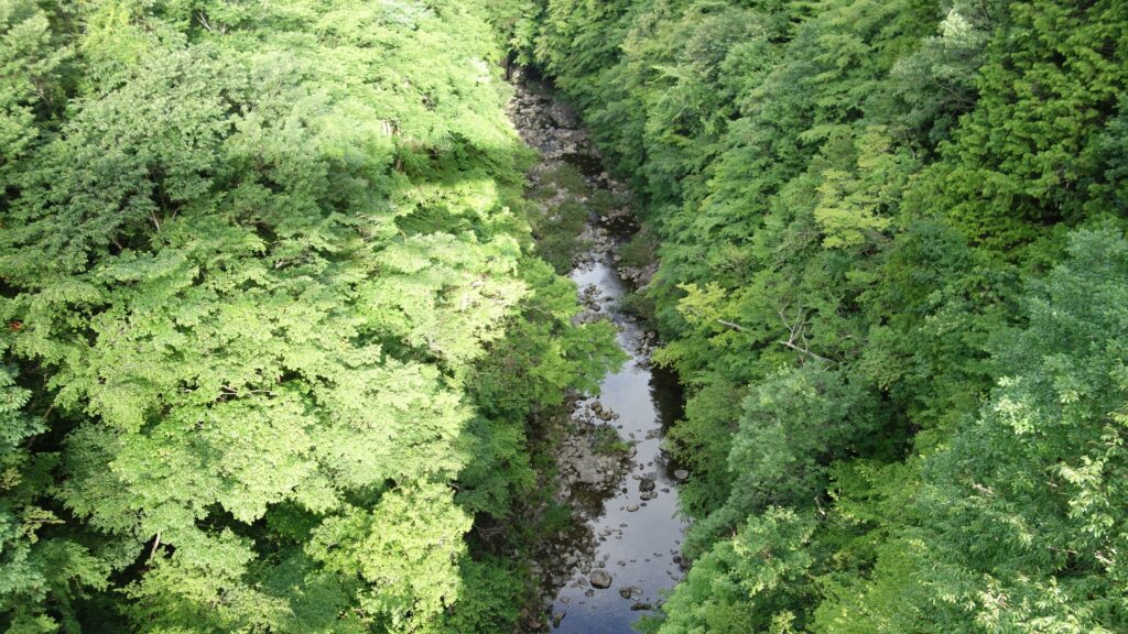 画像を等倍で表示します