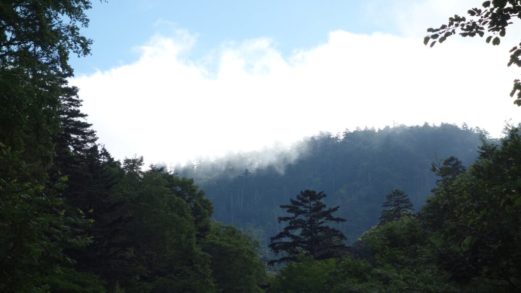 画像を等倍で表示します