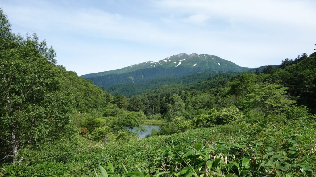 画像を等倍で表示します