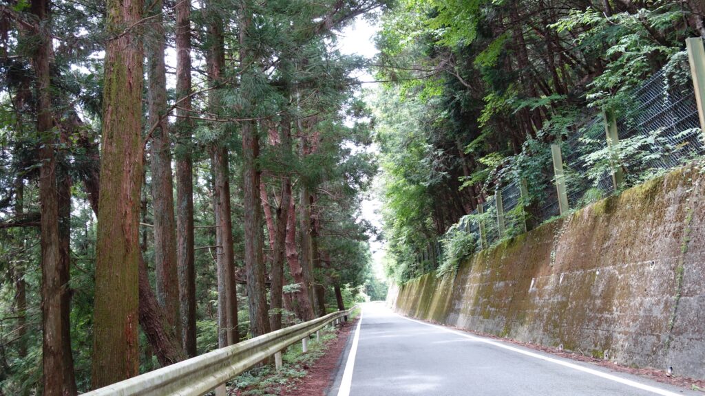 画像を等倍で表示します