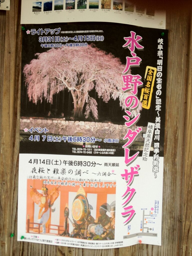 画像を等倍で表示します