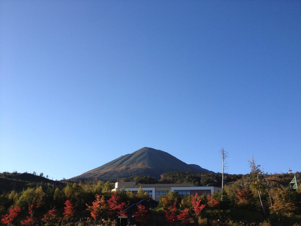 画像を等倍で表示します