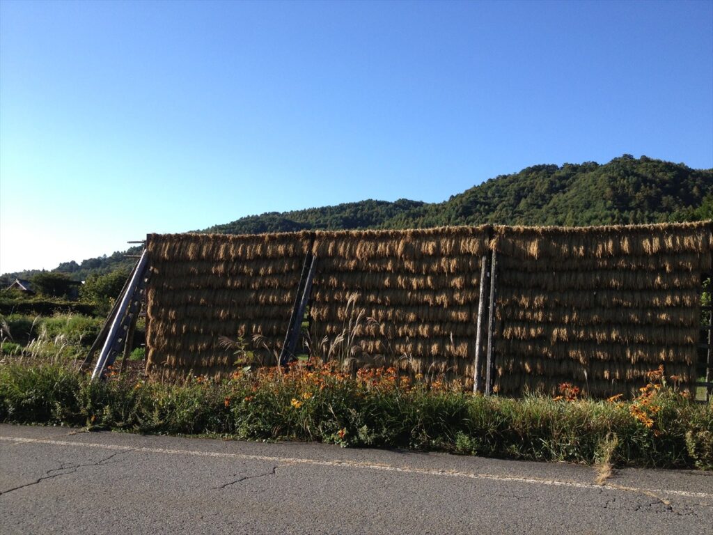 画像を等倍で表示します