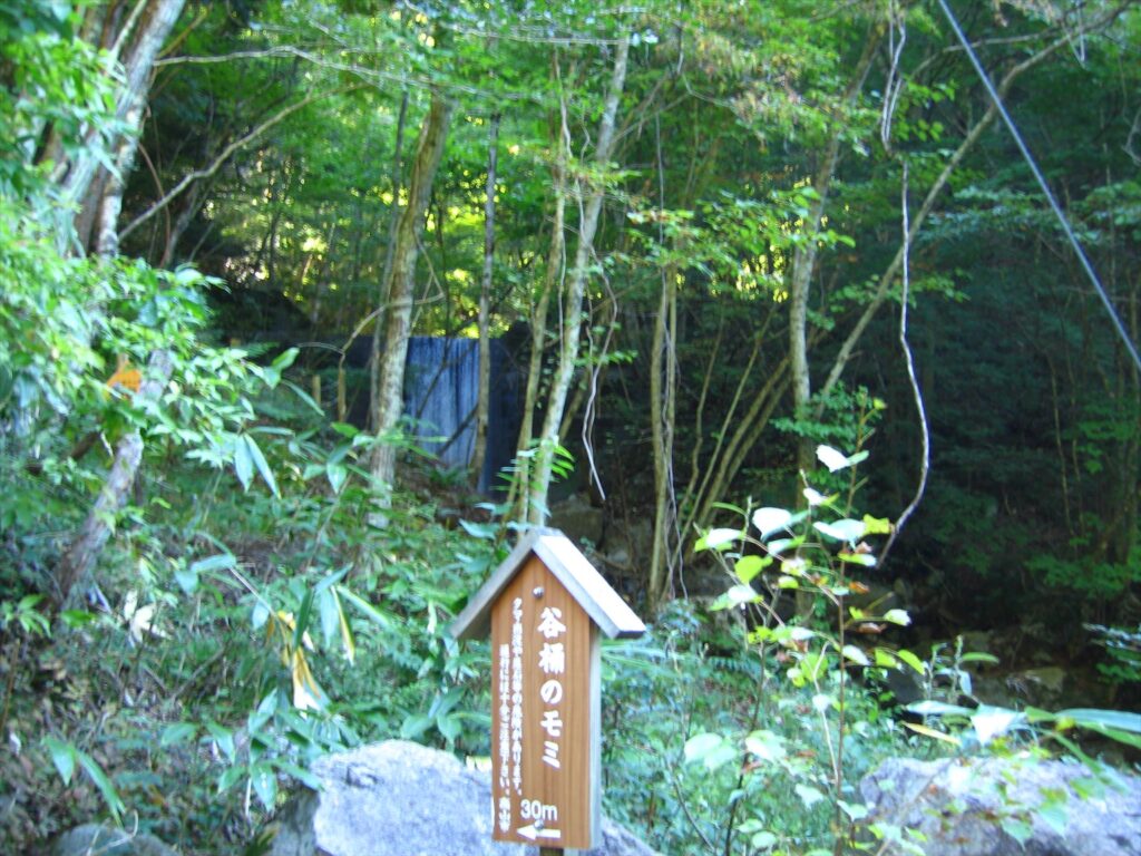 画像を等倍で表示します