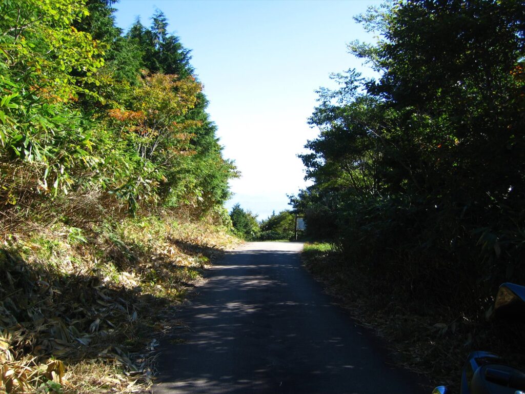 画像を等倍で表示します