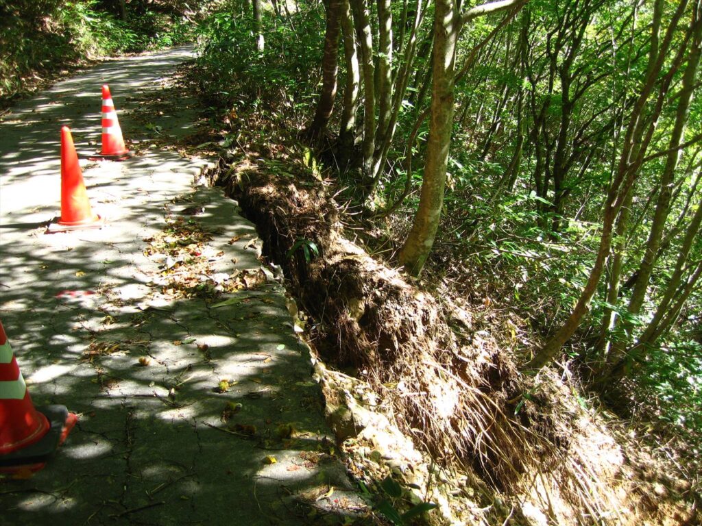 画像を等倍で表示します