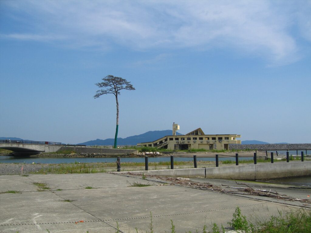 画像を等倍で表示します